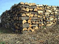 139 души с намалена трудоспособност в сливенско ще получат дърва за огрев на по-ниски цени