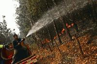 Пожарникари от Котел спасиха 250 декара широколистна гора