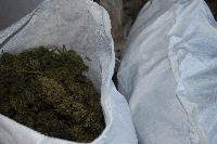 Помещение за отглеждане на марихуана е открито в сливенското село Крушаре