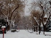 Пътищата в община Сливен са заснежени и проходими при зимни условия