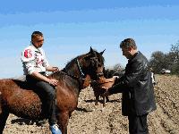 Празник на коня и конния спорт в село Тенево