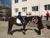 Дванадесети празник на коня и конния спорт отбелязаха в село Тенево