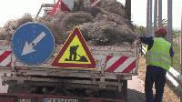 Демонтират предпазната мрежа за птици по магистралата край Ямбол