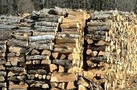 Община Сливен ще подпомогне хора с увреждания с по-евтини дърва за огрев