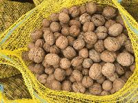 Кражба на 160 килограма орехи е разкрита в новозагорско село 