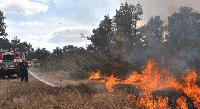 Настъпва пожароопасен сезон. Как да опазим горите от пожари?
