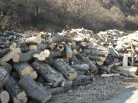 След август доставят дърва за огрев на бедните в община Тунджа