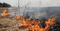 Жегата подпали 600 дка сухи треви край боляровското село Воден