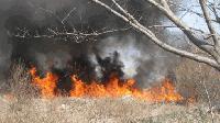 Пожар изпепели 800 дка храсти в Малко Шарково