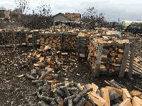 Таен търг за продажба на дървесина добита на територията на община Ямбол. Началната тръжна цена беше 10 лв. за кубик 